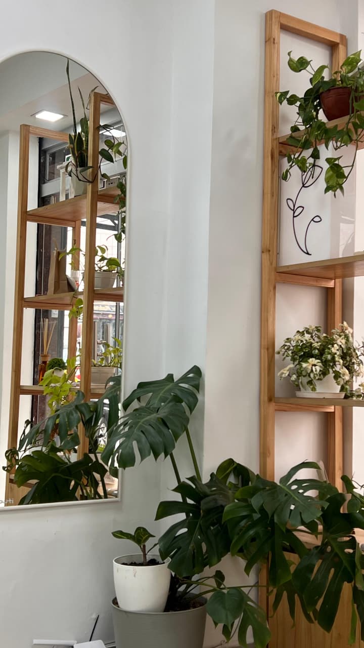Interior del salón 1